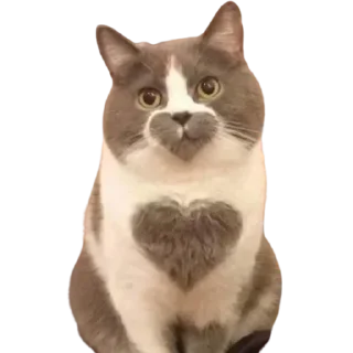 ❤️