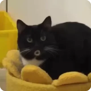 😳
