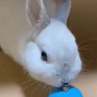 🤩