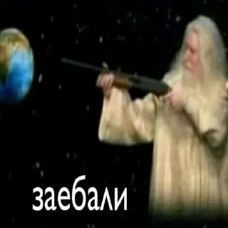 🌍