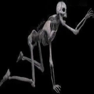 💀