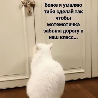 😺