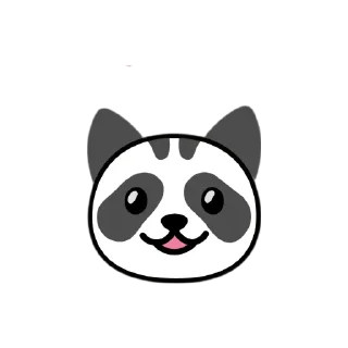 🐱