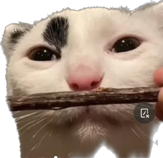 😟