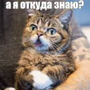 😮