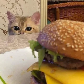 🐈