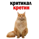 😂