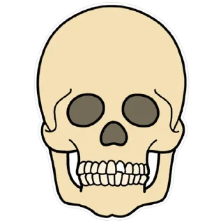 💀