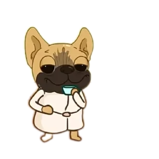 🐶