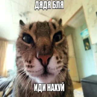 🖕