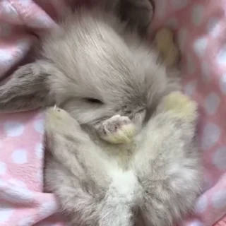 🥛