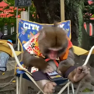 📱