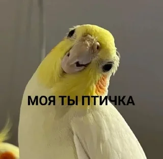 🤗