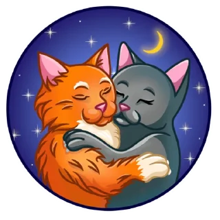 😻