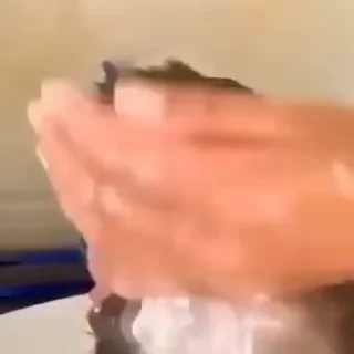🚿