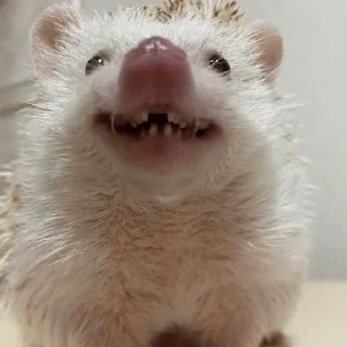 😁