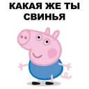🐽