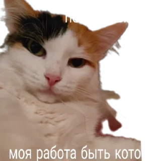 🤓