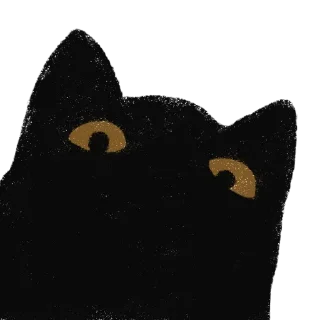 👀