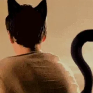🐈‍⬛