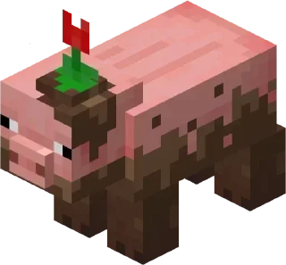 🐖