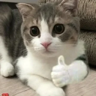 👍