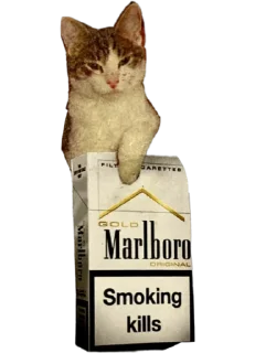 🚬