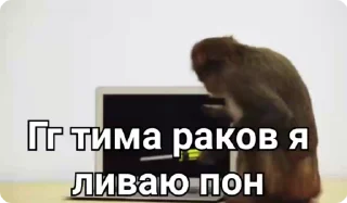 👎