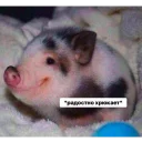 Это конец