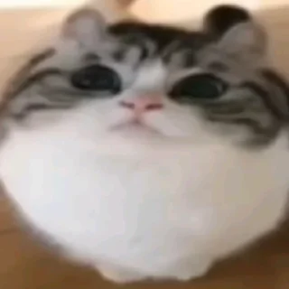 🤓