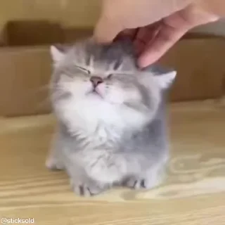 😌