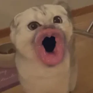 😲