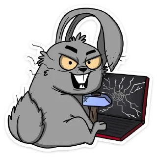 💻