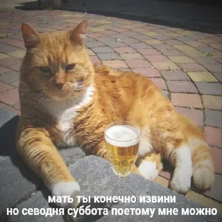🍺