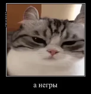 😱