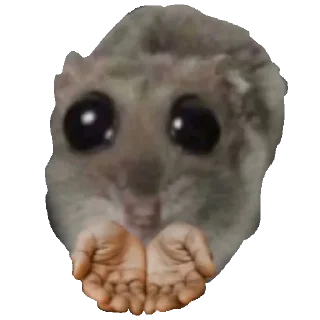 🤲