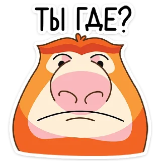 ❓