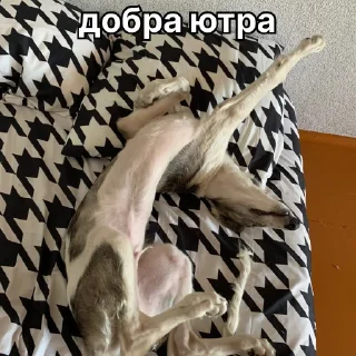 ☀️