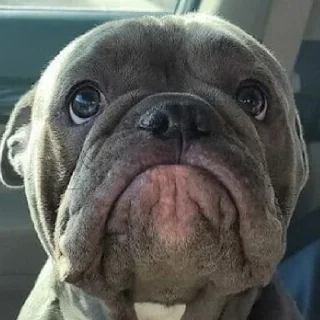 ☹️
