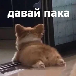 🤚