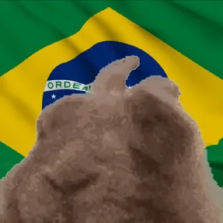 🇧🇷
