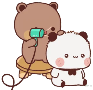 🐻