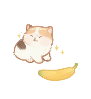 🌟