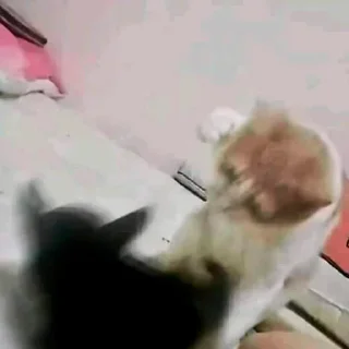 😎