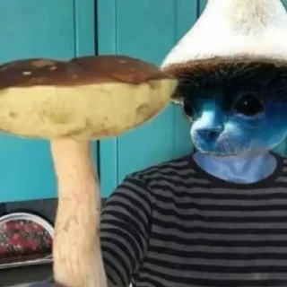 🤒