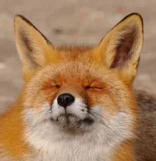 😑