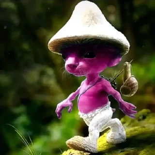 🍄
