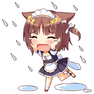 😻