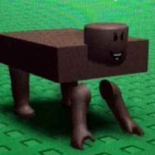 🐈‍⬛️