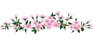 🌸